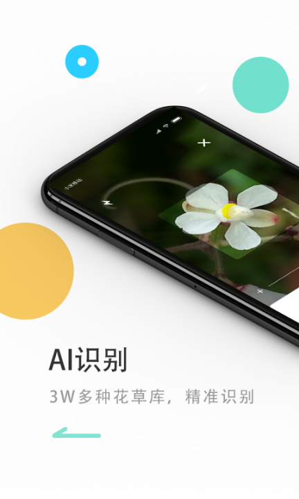 花将app2