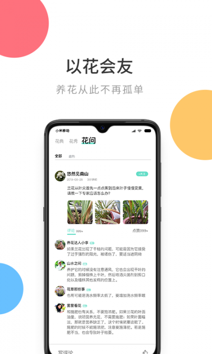 花将app4