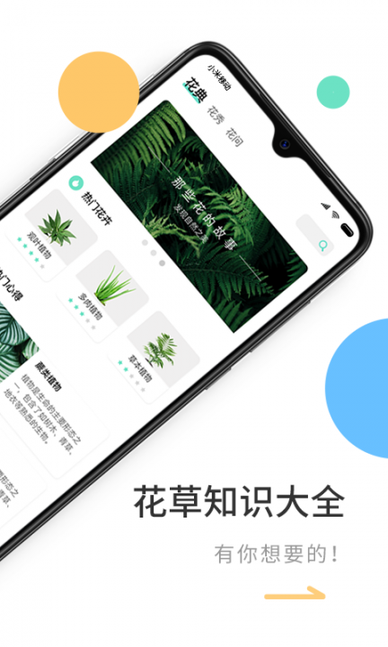 花将app3