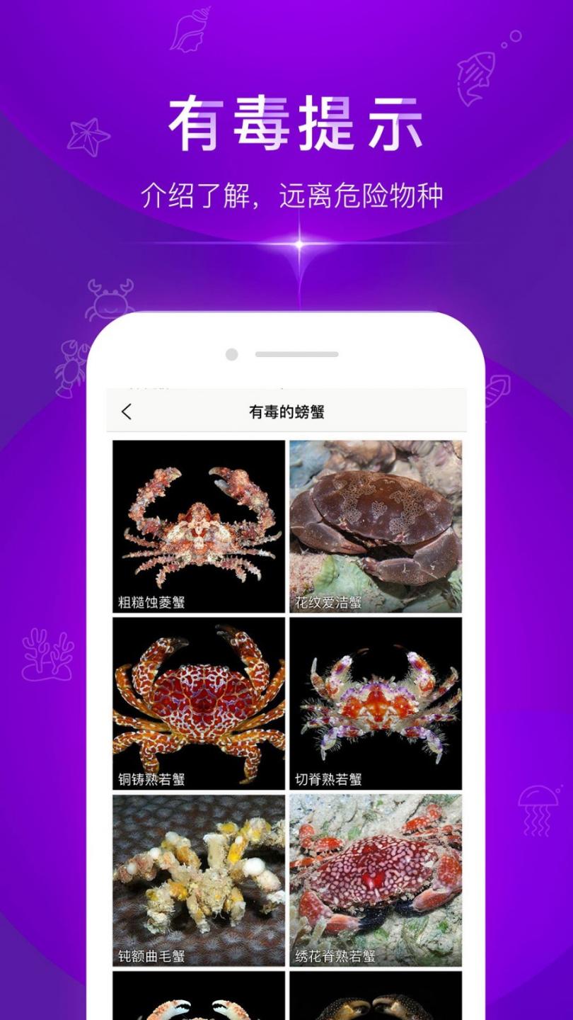 问鱼app5