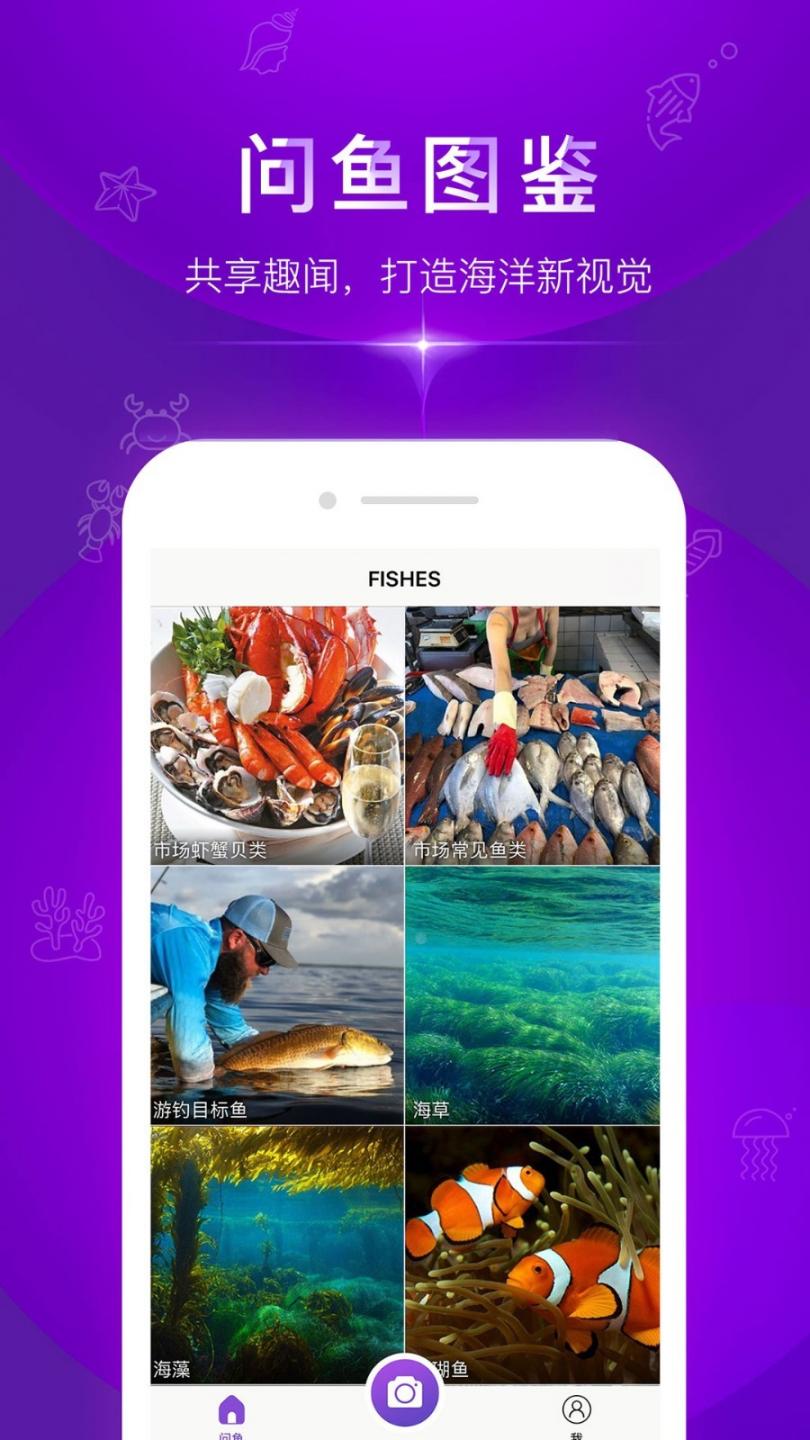 问鱼app1