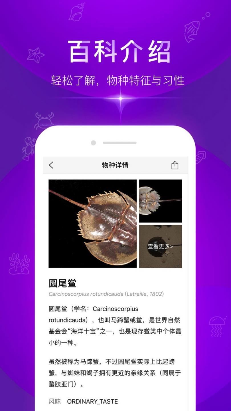 问鱼app3