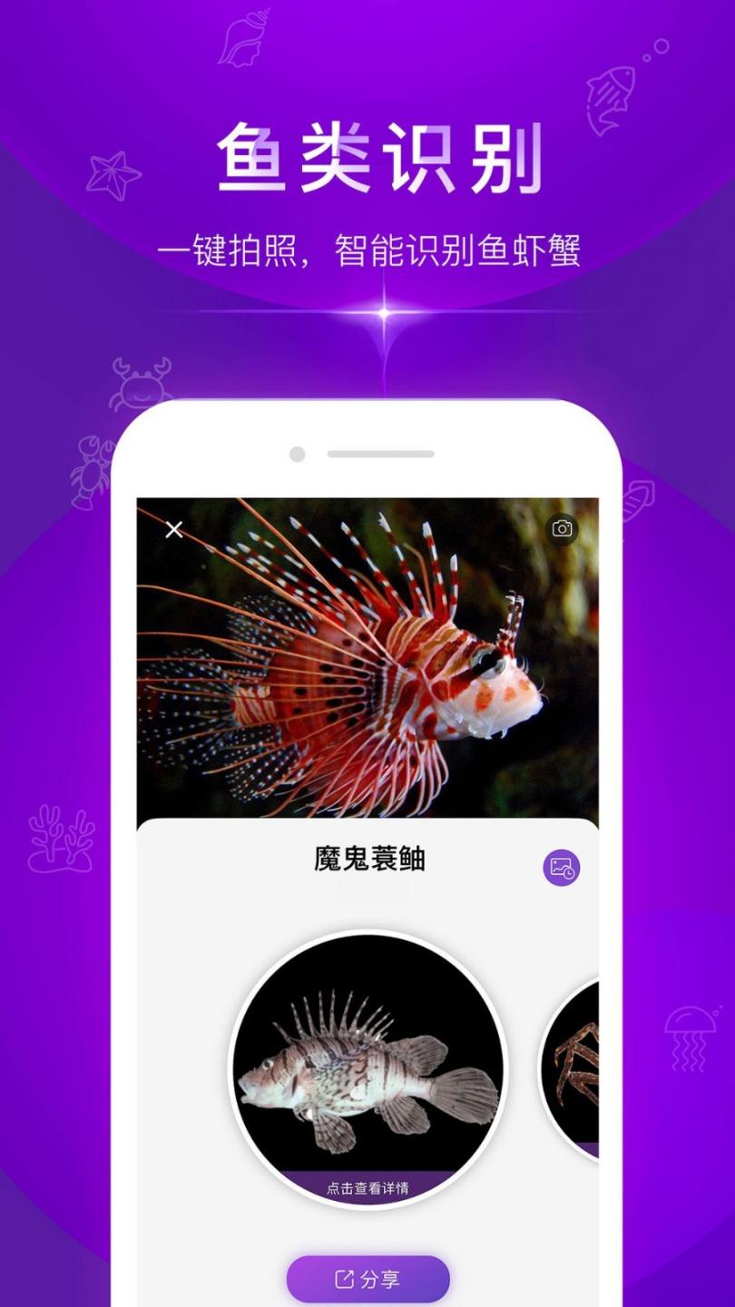 问鱼app4