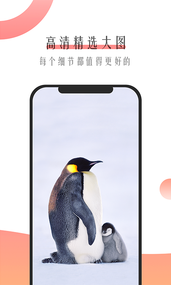 米柚壁纸app2