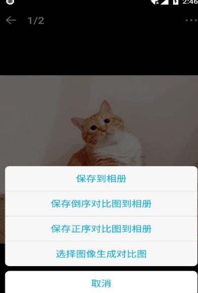 猫咪记账本2