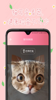 旻匠猫咪翻译器app1