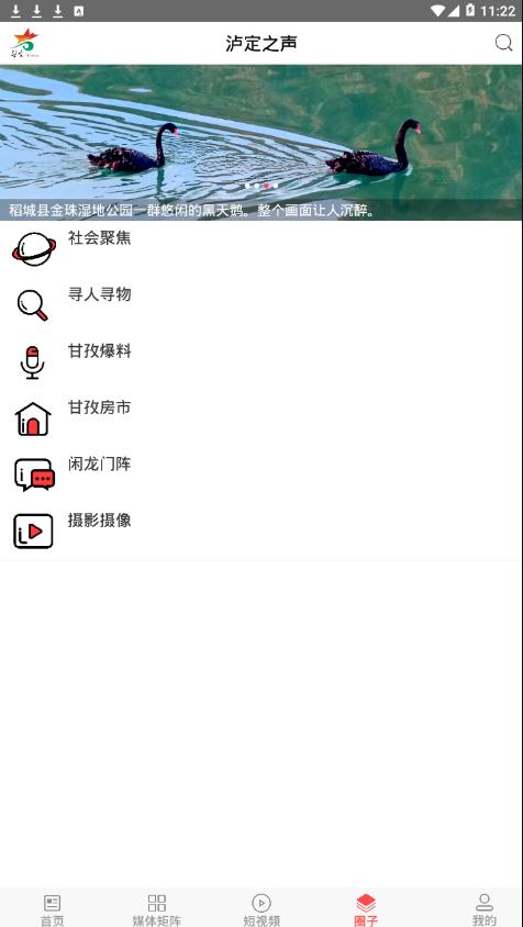 泸定之声app4