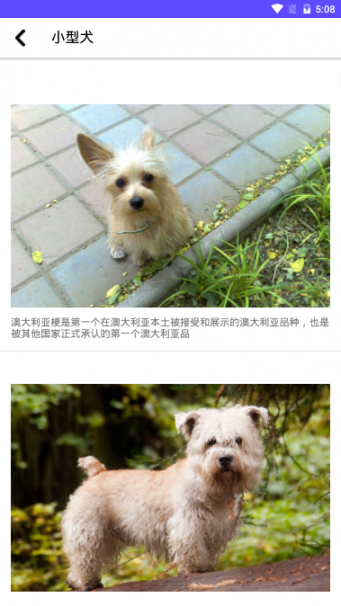 狗狗图鉴app（Dog illustrated）2