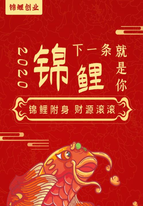 锦鲤创业app