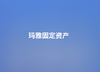 玛雅固定资产app