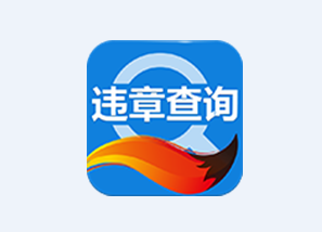 搜狐违章查询app