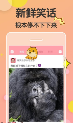 猫咪段子app