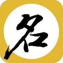 IM电子起名APP