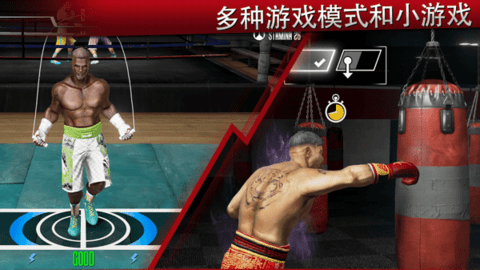 Real Boxing 22