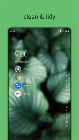 尼亚加拉启动器（Niagara Launcher）2