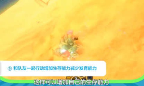 海底大猎杀