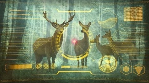 星之终途1