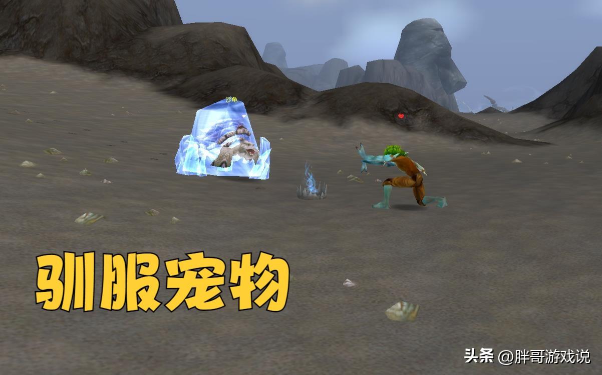 wow猎人可以抓哪些宝宝？魔兽9.0猎人必抓的宝宝介绍