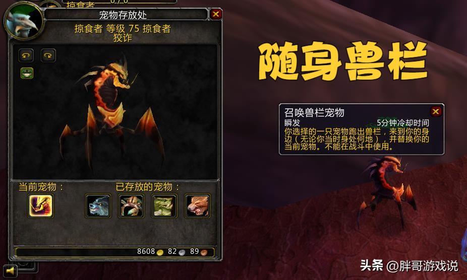 魔兽世界正式服射击猎人宝宝，魔兽世界正式服猎人最好的宝宝