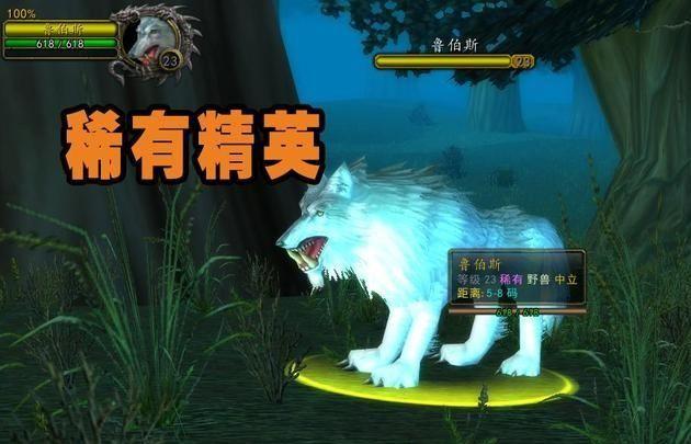 魔兽世界猎人稀有宝宝大全，魔兽世界60版本猎人稀有宝宝