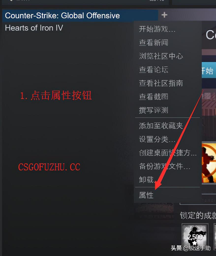 csgo国服启动项在哪设置？csgo国际服与国服启动项自由切换方法